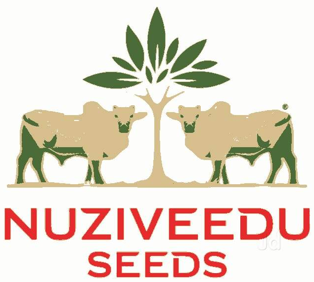 Nuziveedu Seeds